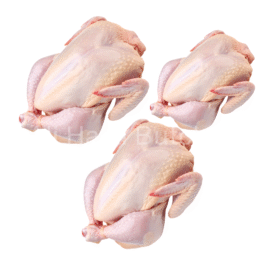 3 Baby Chicken Offer